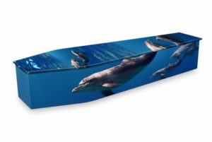 Expression Coffins Dolphins