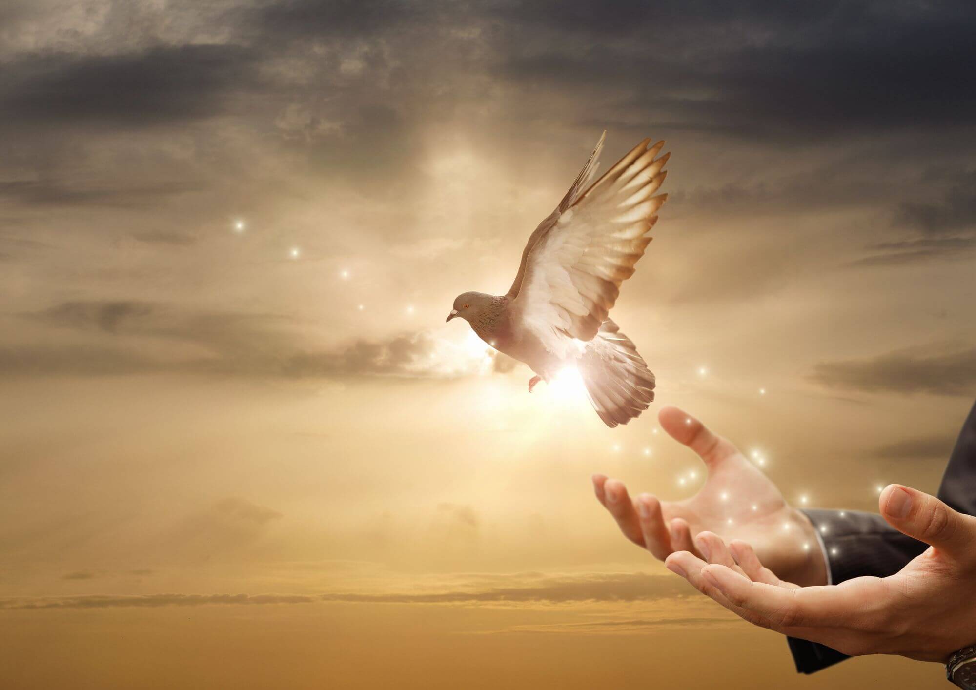 Why rituals are important in the grieving process